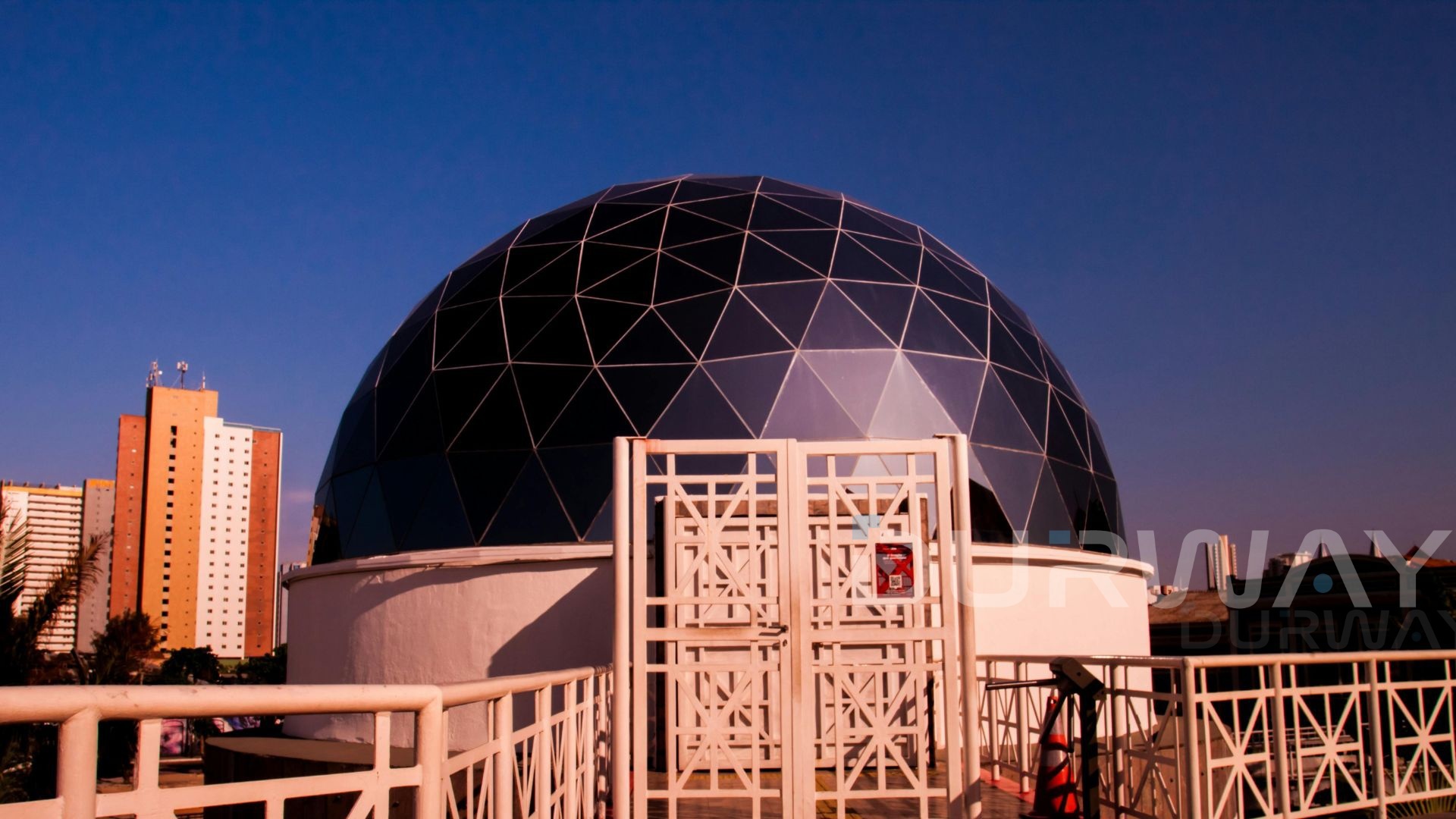 ダッフィー  プラネタリウム ディズニーシー ダッフィー プラネタリウム スターリー